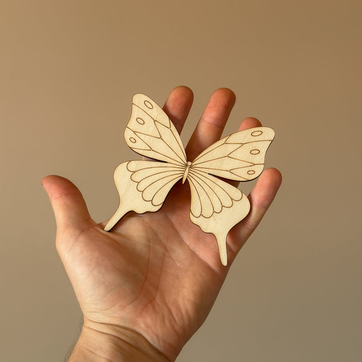 Lot de 5 papillons