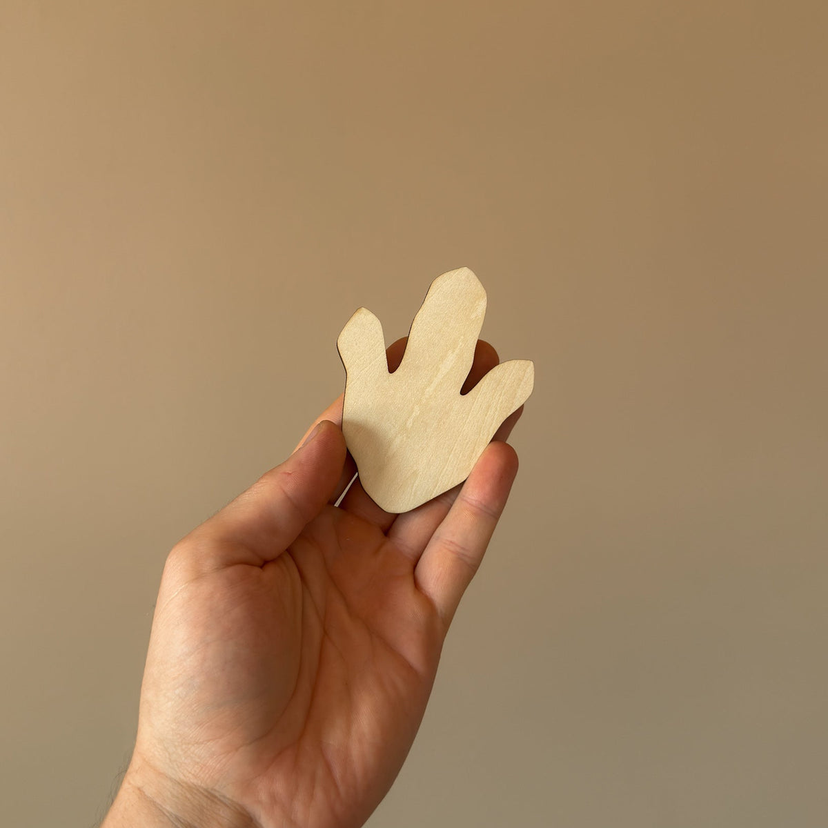 Lot de 5 pattes de dinosaure